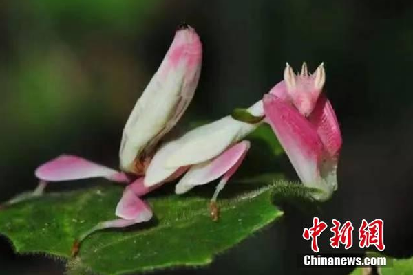 招商:银行10月16日大宗交易成交2.01亿元