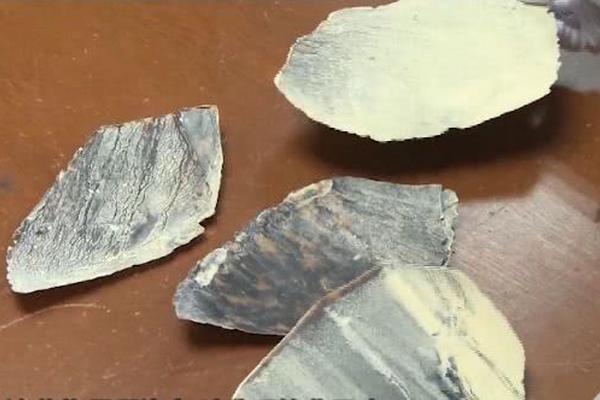 原料‘药’上.市公司财务总监PK：黄山胶囊刘清科薪酬降幅最大 同比降幅达19.04%