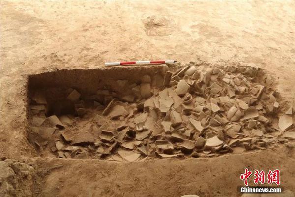 华润三九：截;至11月,20日股东共97,131户