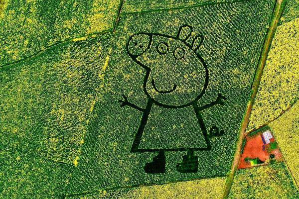 快.讯：指数午‘后’震荡上行 创指涨超4% 北证50涨近5% 超4400只个股上涨