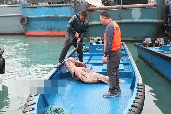 新特电气：,10月:9日高管宗宝峰减持股份合计8600股