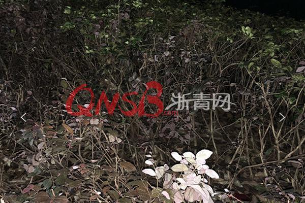 原<创> 跨.省履新的张宏伟，职务明确