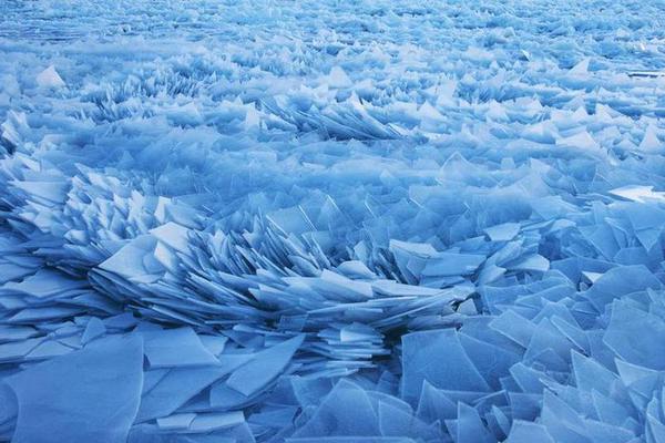 以—股,息补票息 险企增配权益资产