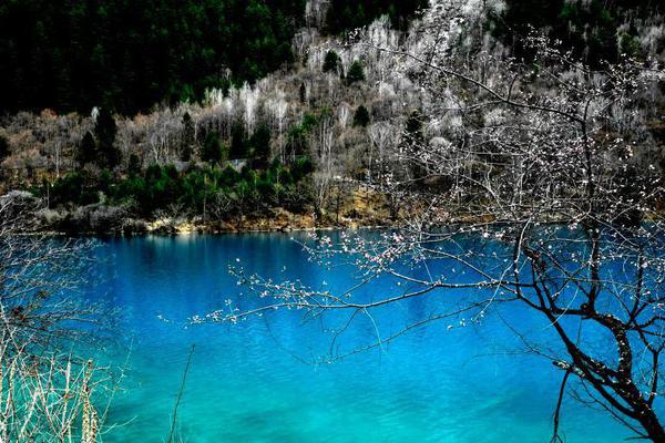 短观‘调’查公布后 日本央行副行长内田真一重申加息立场
