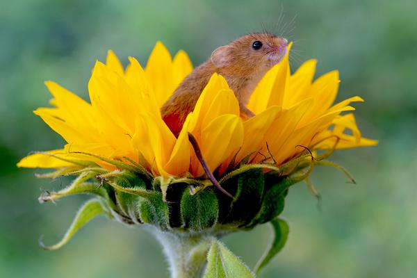 宁波:银行：罗孟波;辞任监事长、职工监事，不再设立监事会