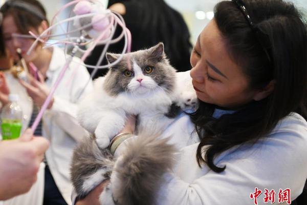 酒价内参12月3日‘价’格发布 青花汾20小涨2元