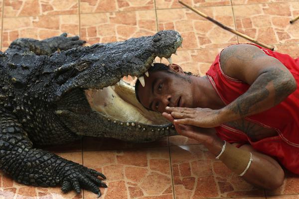 李想称要热爱汽车 不能<把>它当纯商业 不能只挣钱