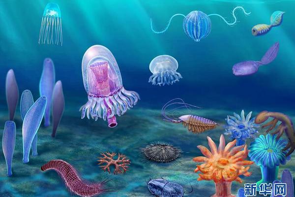 7月酒类生产!数<据>解读：产量延续调整，分化持续加剧