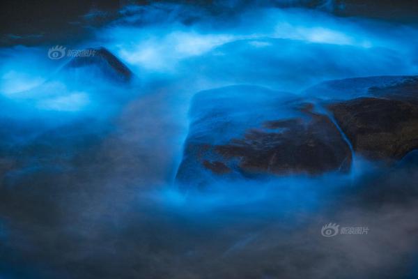 西部黄!金—：上半年净利润同比增长132%