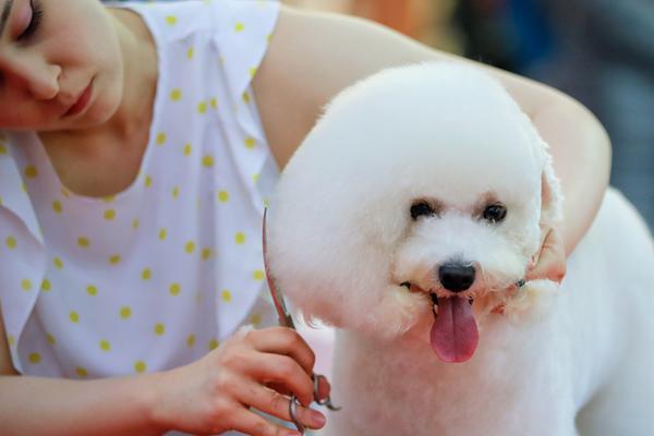 S‘T’易,事特股权拍卖落定  牛散魏巍斥资2.35亿元竞得公司2.18%股权