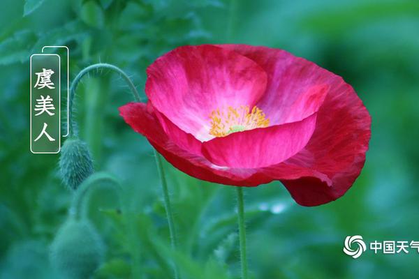 全球铜市<神>经紧!绷：摩科瑞被曝大举提货 LME库存近被掏空