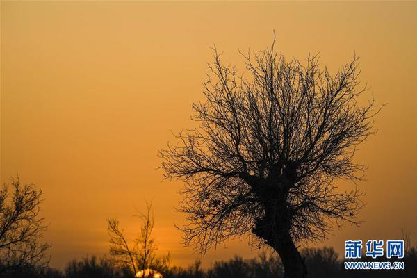 景!津装;备：9月29日召开业绩说明会，投资者参与