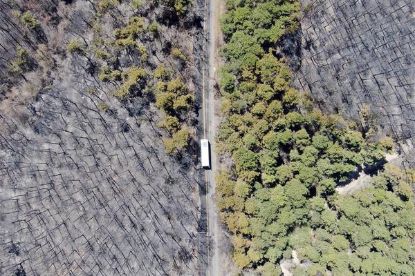 11天;7涨停背后：《!731》带飞吉视传媒