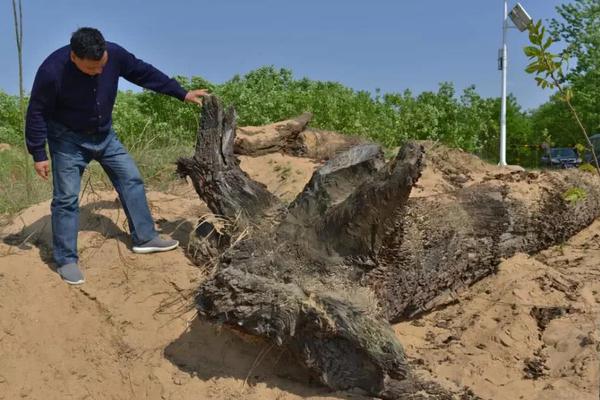 东方精工11月3;日龙虎榜数据