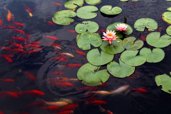 美贸易!代表：特朗普对数十国关税已基本确定 未来几天不再调整