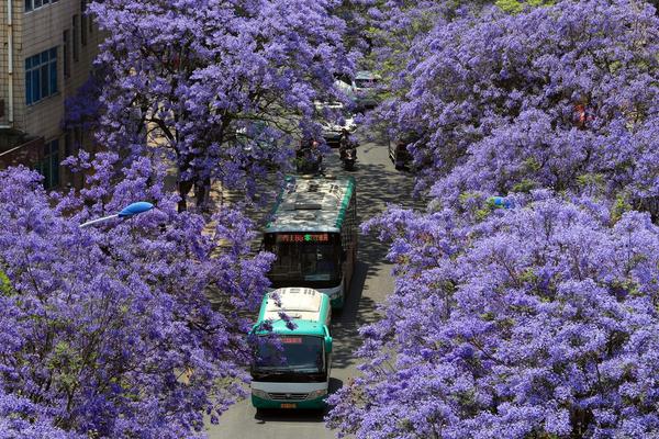 控制阀国产<替>代迎来“黄金时刻” 浙江力诺第三季度营收3.17亿元 同比增长23.47%