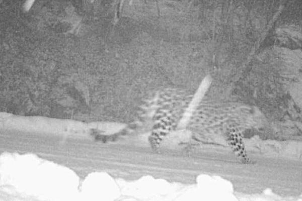 美国,贸易代表预计特朗普在10月底亚洲之行期间将签署更多贸易协议