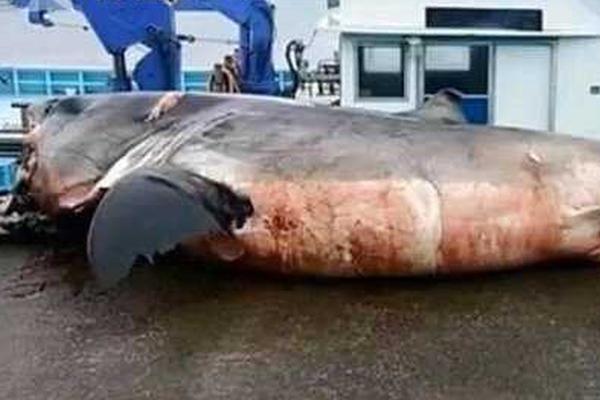 南华期货上市聆讯获‘通’过 拟于港交所主板上市