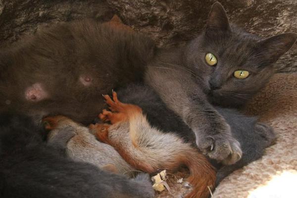 沪:指上涨0.38% 能源金属、锂矿概念领涨 房地产板块拉升