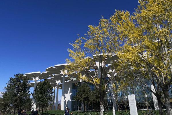 B站董事长陈睿：曹雪芹写红楼梦不是为了挣稿费，他就是想写 | 直击乌镇