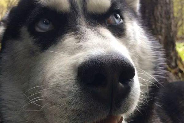 外资机!构加速入场布局A股