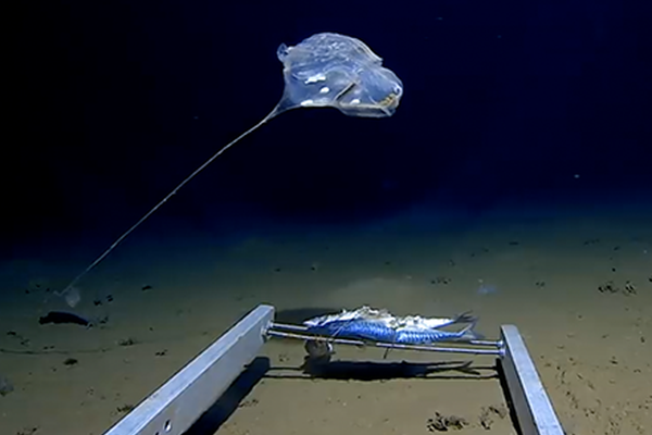 “9·—24”行情一周年：权益类理财产品大增