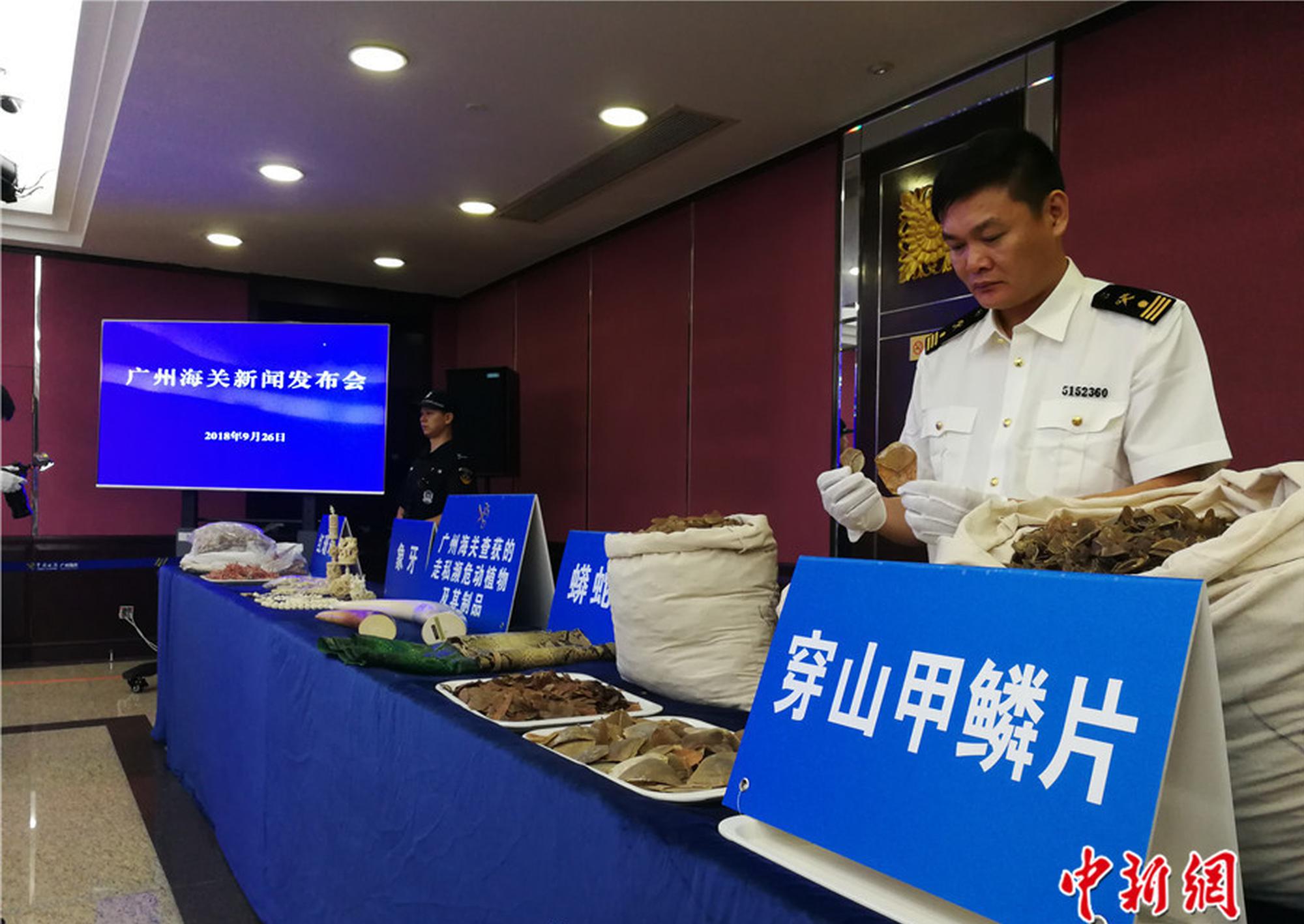 S?T创!意（300366.SZ）投资者索赔分析