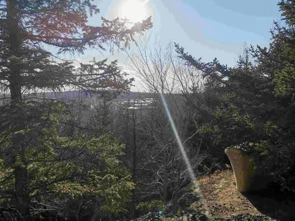 金龙;鱼;：公司目前没有需要公开披露的信息