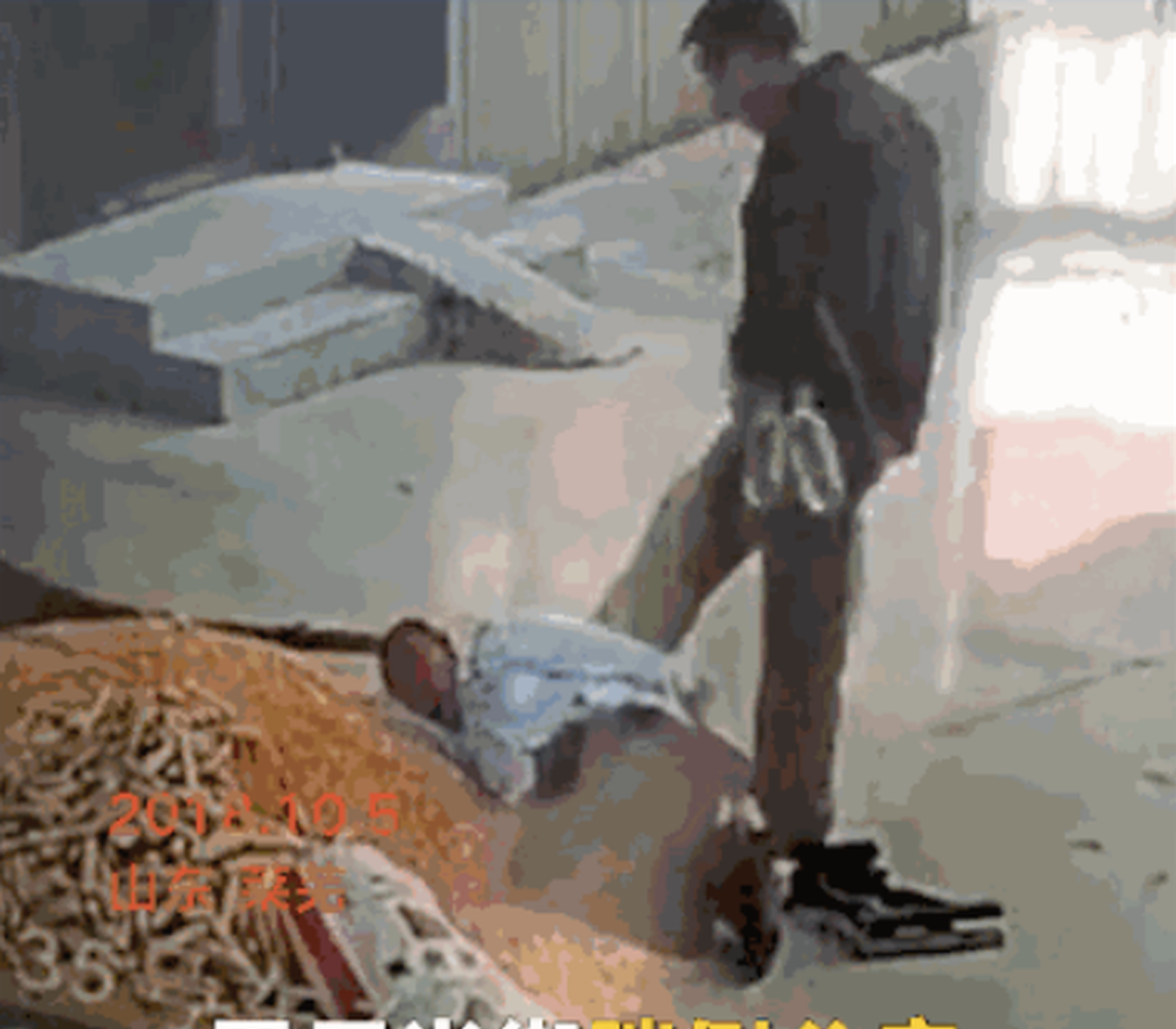 芯朋微<上>半‘年’实现净利润9049万元 同比增长106%