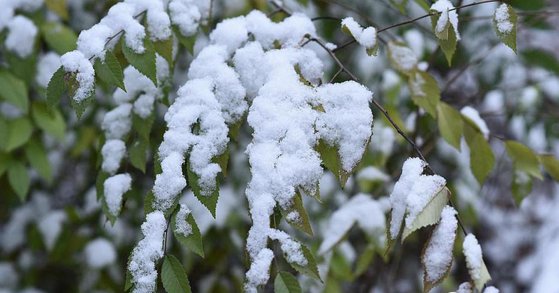 多;热点轮动！供需两端改善，化工ETF涨逾1%创阶段新高！资金抢筹金融科技，场内唯一药ETF收盘新高