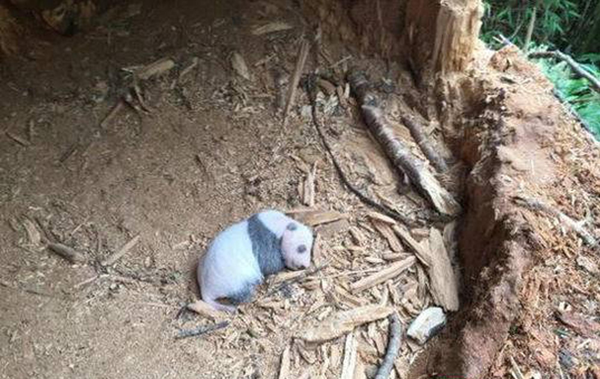 维海德：上半年归母净利‘润’65‘9’7.02万元，同比增长24.69%