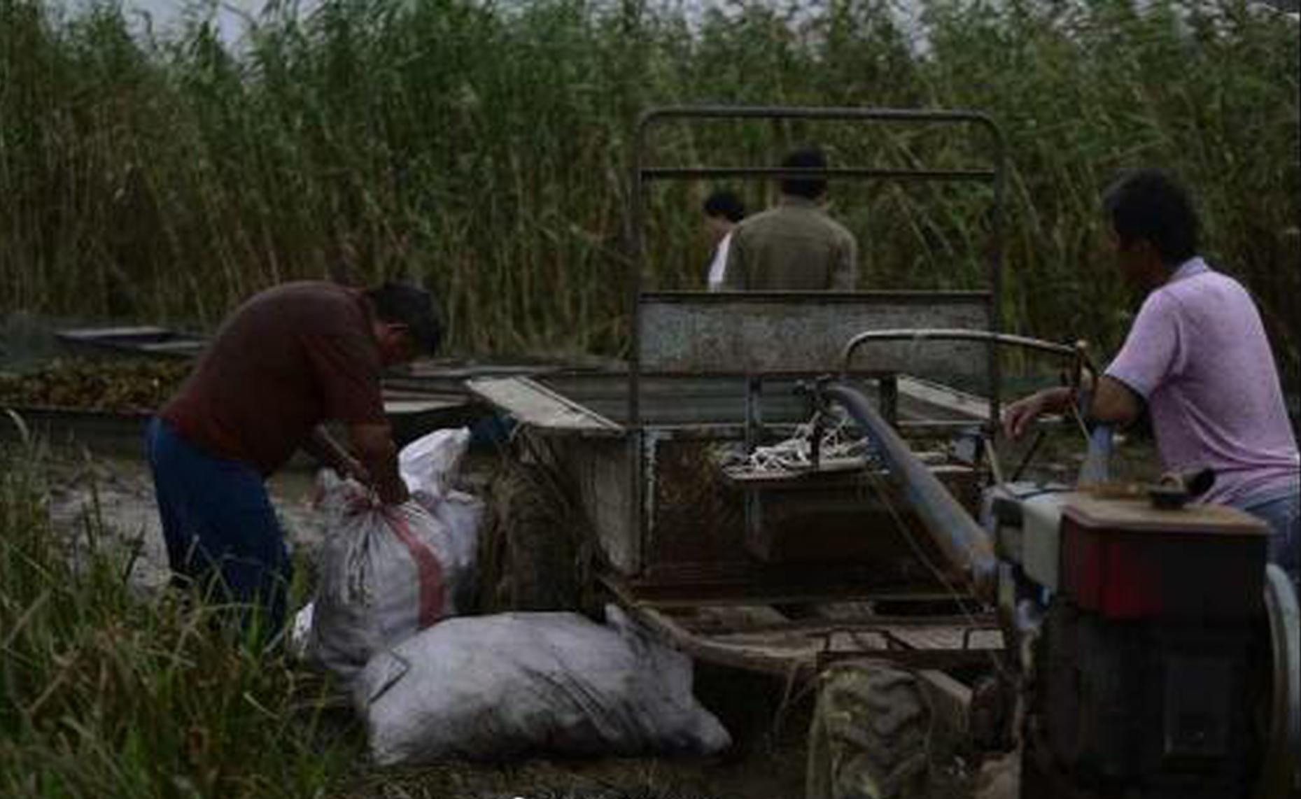 华菱精?工：终止.向特定对象发行A股股票暨控制权变更终止