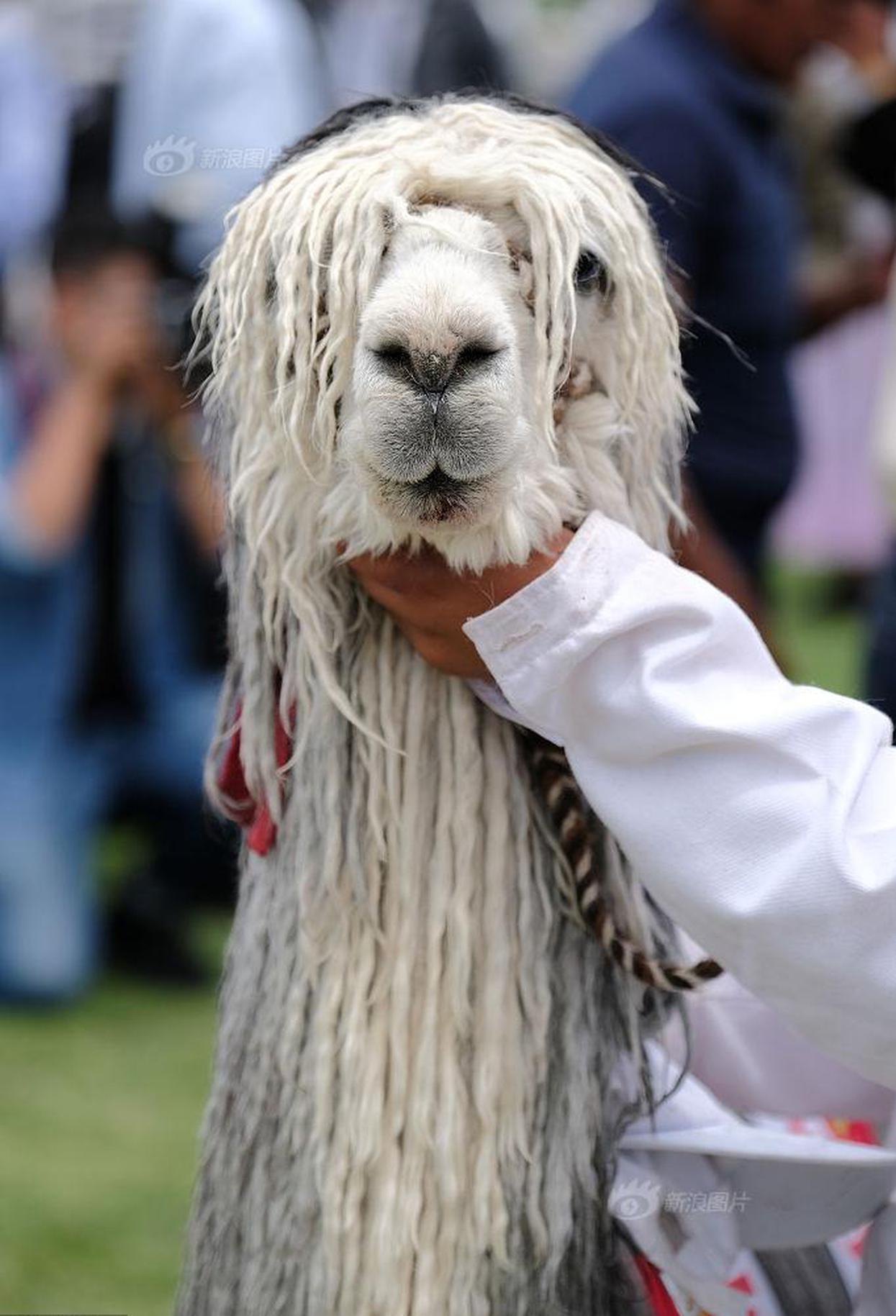 中金公!司拟发行不超10亿元公司债券