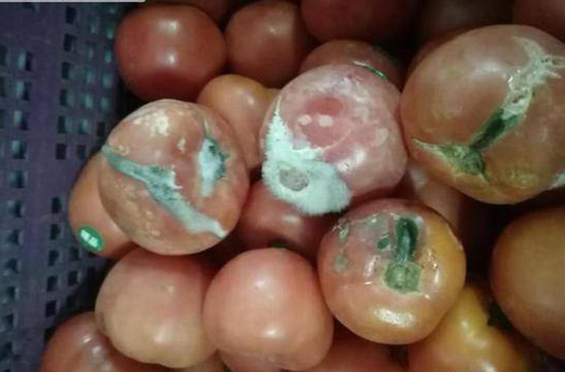 前<三>季度利润下滑.，金牌首次回应