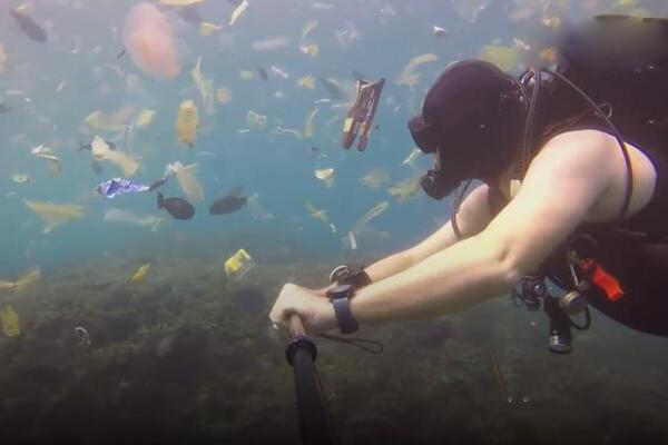 舜宇‘光’学;(02382.HK)约19.03亿元转让上海奥来股权 换购认购歌尔光学31.31%股权
