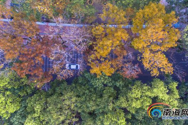 今起正式实.施，常温纯牛奶中禁止添加复原乳
