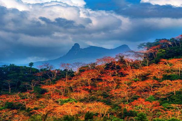 债市 ;| ,还是震荡