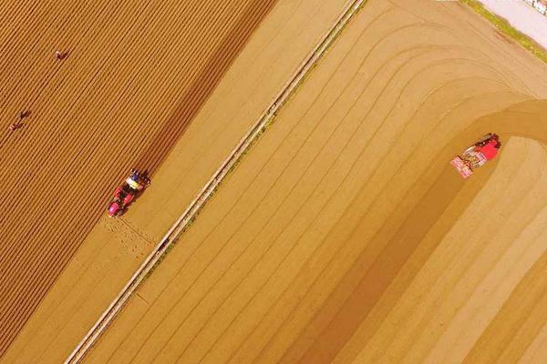 今年以来熊猫债发行超1600亿元