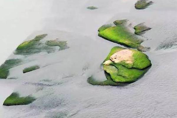 固态电池?进入产业化关键阶段