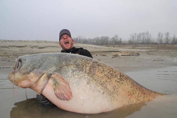 国际‘清’算银行2025年调查：美国关税加剧市场波动 全球外汇交易激增