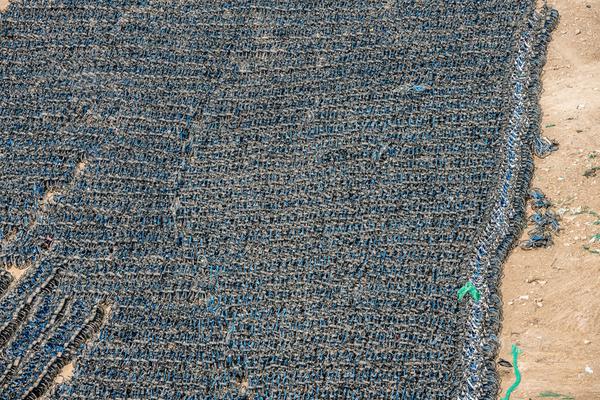 202?5浦江创新论坛在沪开幕，刘国中陈吉宁出席开幕式并致辞