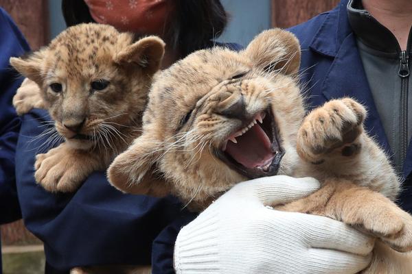 三十,载深耕，一朝领航！东方雨虹绑定政策风口，以创新之力书写建筑建材行业新传奇