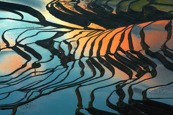 信用‘卡’币种“升!级” 多银行将美元切换为人民币