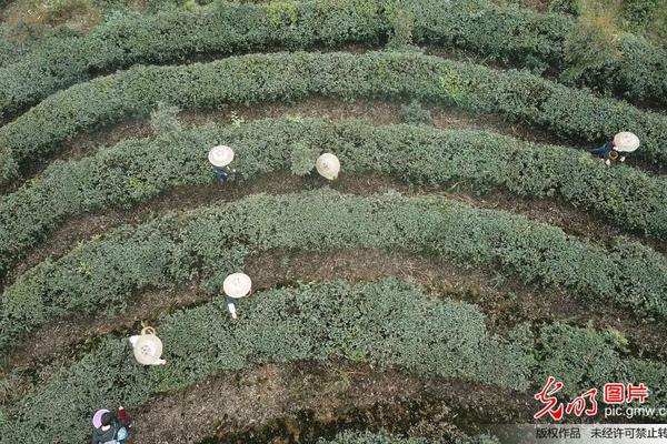 NE!EWER纽尔2025新款手机散热器仅需99元