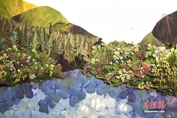 获—法院重整裁定<的>中装建设：重生之路开启，投资者索赔案已开庭审理