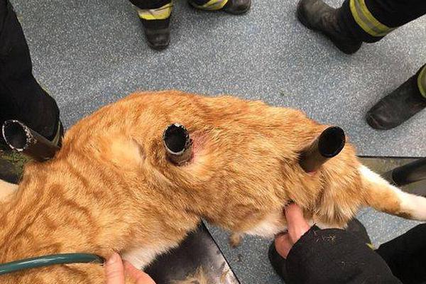 澳洲—私人信贷狂飙、出口承压——澳币AUDUSD本周走势恐更剧烈