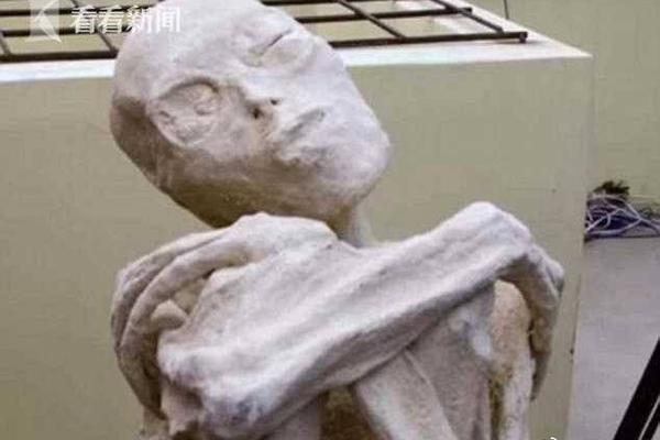 中?国有色矿业盘中涨超7% 铜价上涨带动中期业绩改善