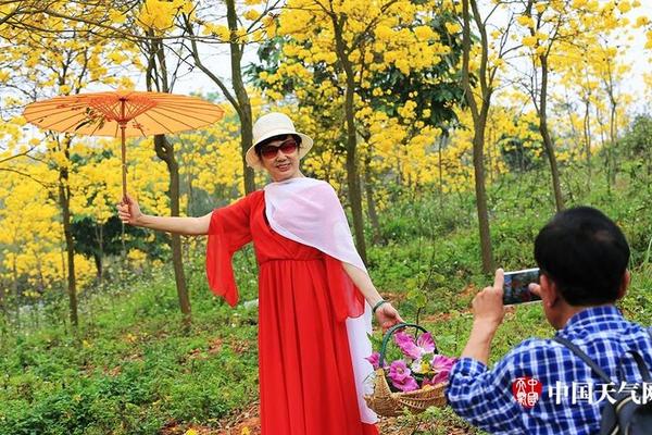 阿里巴巴<大>消息，多股;逆势涨停！