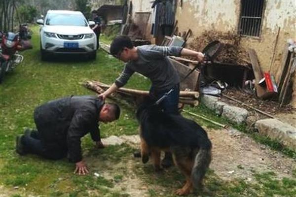 诺和诺德阿尔茨海默症试验失!败