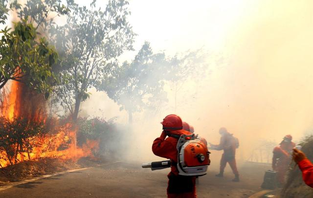 时隔!一月，南京银行再获紫金集团借道信托子增持，多名主要股东今年都在“买买买”